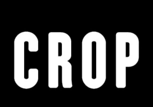 rp_CROPlogo.jpg
