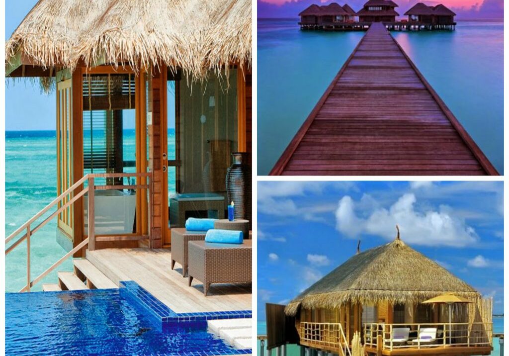 rp_MALDIVES1.jpg
