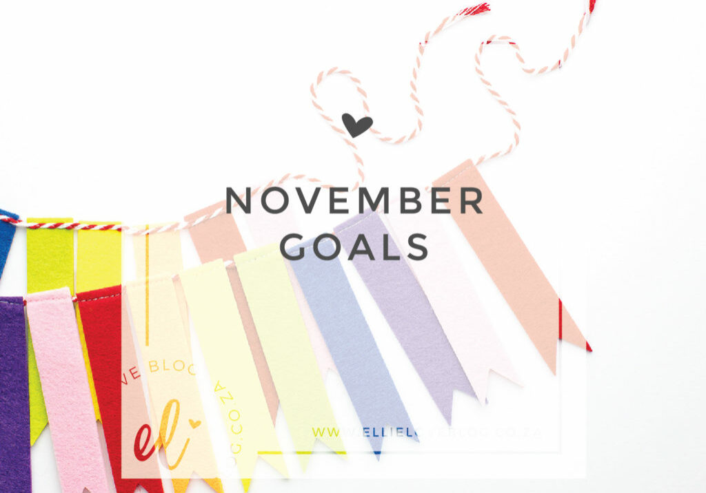 NOVEMBER GOALS-01