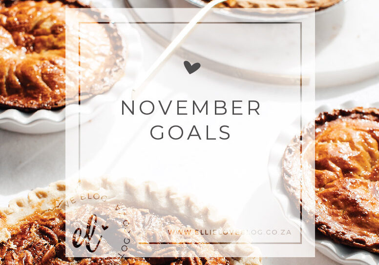NOVEMBER GOALS 2020-01