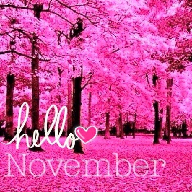 Nov
