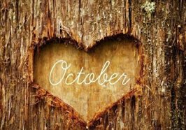 OCT