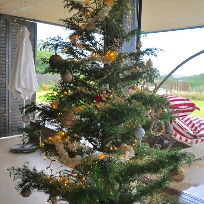 XMAS151