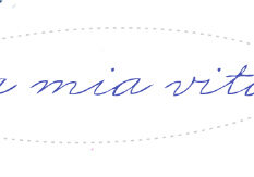 lamiavita