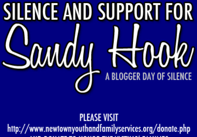 sandyhooksupport