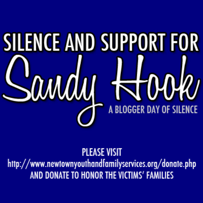 sandyhooksupport