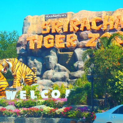 zoo1